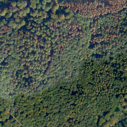 Satellite imagery of Lippersberg, DE