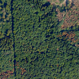 Satellite imagery of Biebrichs-Kopf, DE