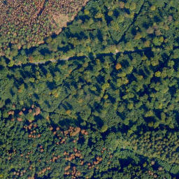 Satellite imagery of Biebrichs-Kopf, DE