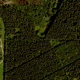 Satellite imagery of Reesberg, DE