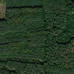 Satellite imagery of U Formanské cesty [Dolní Bousov-Bechov], CZ