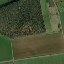 Satellite imagery of Buchwald, DE