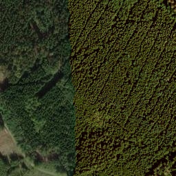 Satellite imagery of Hohe Kammer, DE