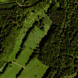 Satellite imagery of Rockenstein, DE