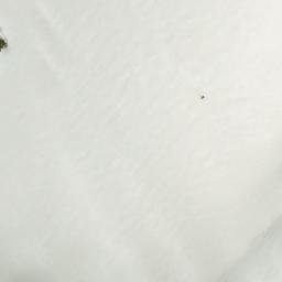 Satellite imagery of Mount Olds, CA