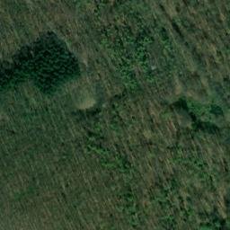 Satellite imagery of Saustiebel, DE