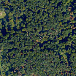 Satellite imagery of Wilddammers-Kopf, DE