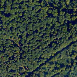Satellite imagery of Wilddammers-Kopf, DE
