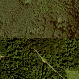Satellite imagery of Ottersteine, DE