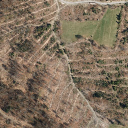 Satellite imagery of Sonneberger Berg, DE