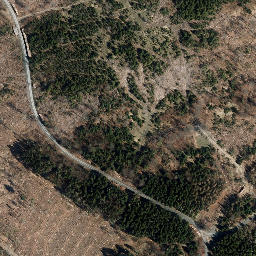 Satellite imagery of Großer Mittelberg, DE