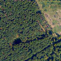 Satellite imagery of Wilddammers-Kopf, DE