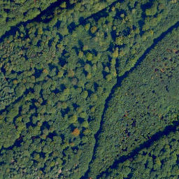 Satellite imagery of Wilddammers-Kopf, DE