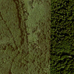 Satellite imagery of Ottersteine, DE