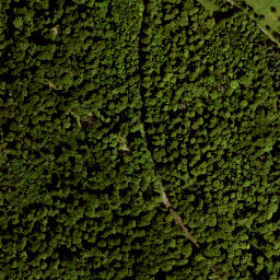 Satellite imagery of Ottersteine, DE