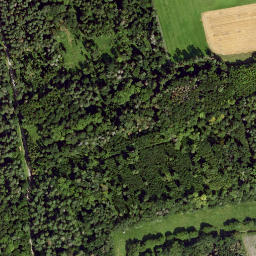 Satellite imagery of Bassberg, DE