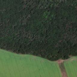 Satellite imagery of (Všehrdský lesík) [Všehrdy], CZ