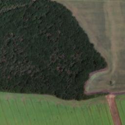 Satellite imagery of (Všehrdský lesík) [Všehrdy], CZ
