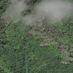 Satellite imagery of Shorter Point, CA