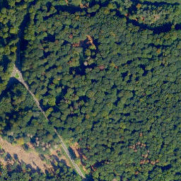 Satellite imagery of Wilddammers-Kopf, DE