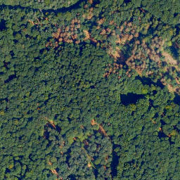 Satellite imagery of Wilddammers-Kopf, DE