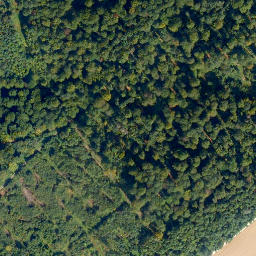Satellite imagery of Dörnberg, DE
