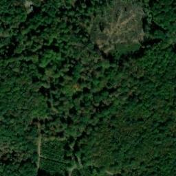 Satellite imagery of Tanzköppel, DE
