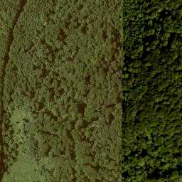 Satellite imagery of Ottersteine, DE