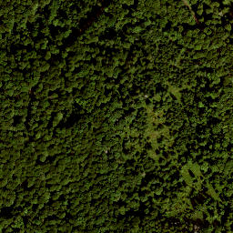 Satellite imagery of Ottersteine, DE