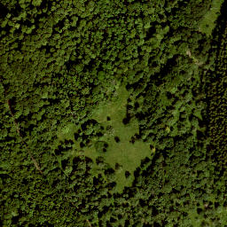 Satellite imagery of Ottersteine, DE