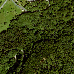 Satellite imagery of Mittelberg, DE