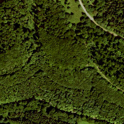 Satellite imagery of Schachen, DE