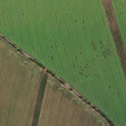 Satellite imagery of (Všehrdský lesík) [Všehrdy], CZ