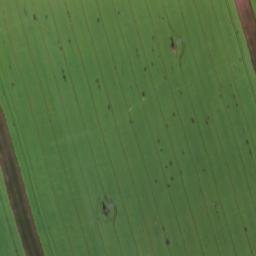 Satellite imagery of (Všehrdský lesík) [Všehrdy], CZ