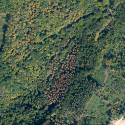 Satellite imagery of Koppel, DE