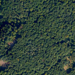 Satellite imagery of Dörnberg, DE