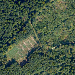 Satellite imagery of Dörnberg, DE