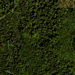 Satellite imagery of Beilstein, DE