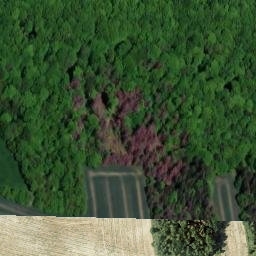 Satellite imagery of Walleskuppe, DE