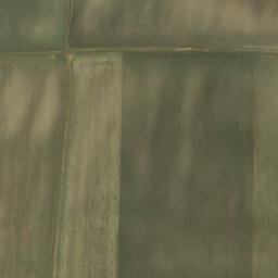 Satellite imagery of Zadní vrch [Počedělice-Orasice], CZ