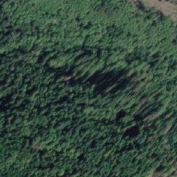 Satellite imagery of Snout Point, CA