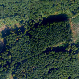 Satellite imagery of Nißling, DE