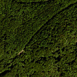 Satellite imagery of Beilstein, DE