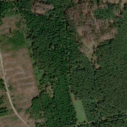 Satellite imagery of Wiesbühl, DE