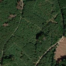 Satellite imagery of Wiesbühl, DE