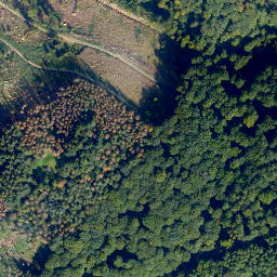 Satellite imagery of Nißling, DE