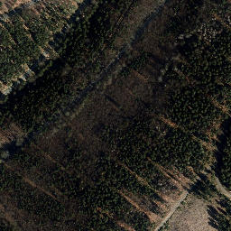 Satellite imagery of Loosbrand, DE
