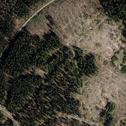 Satellite imagery of Loosbrand, DE