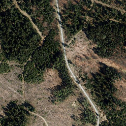 Satellite imagery of Loosbrand, DE