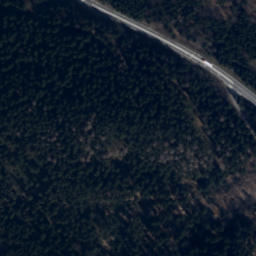 Satellite imagery of Zamek Homole, PL